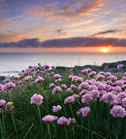 Isle of Barra