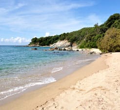 How to book a Ferry to Propriano